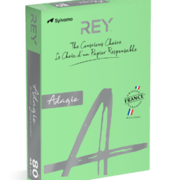 A4 80gsm Adagio Leaf Green Paper