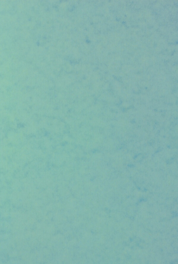 Thick Moss Green Card 250gsm