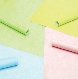 Pastel Fadeless Rolls 57461-CI-101