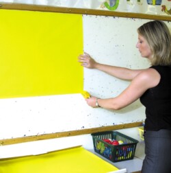 57XX-AS Fadeless Display Sheets
