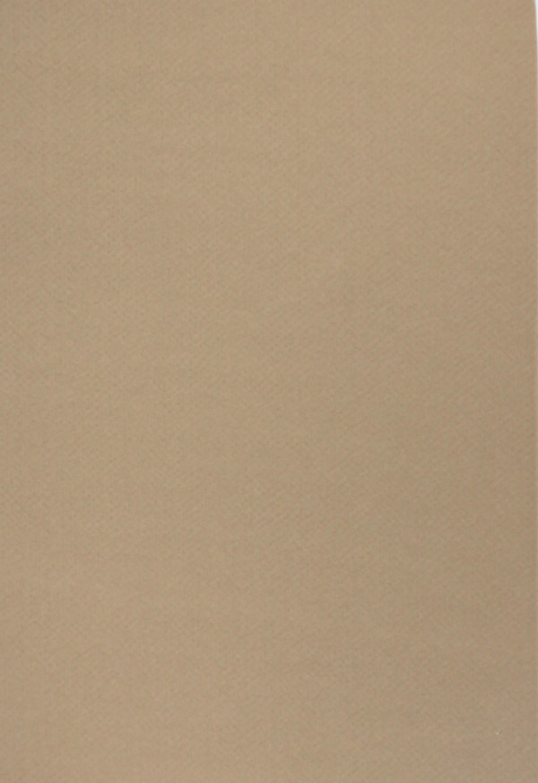 Freelife Merida Kraft Paper 100gsm