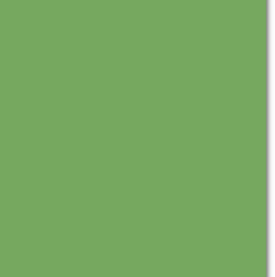 Trophee Billiard Green