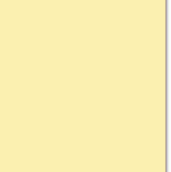 Trophee Canary Yellow