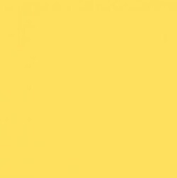 Vanguard Daffodil Yellow