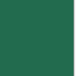 Trophee Forest Green