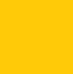 Vanguard Gold