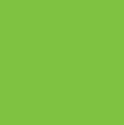 Vanguard Lime Green