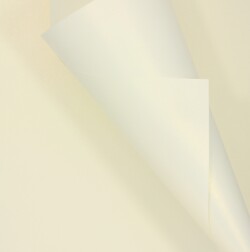Conqueror Iridescent Gold Haze 3033