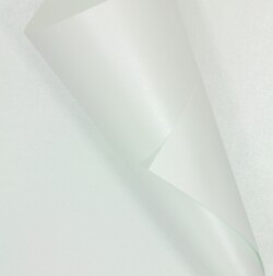 Conqueror Iridescent Silver Mist 3670