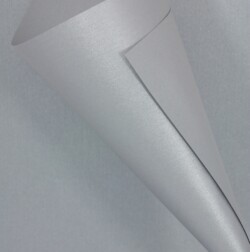 Curious Collection Metallics Galvanised