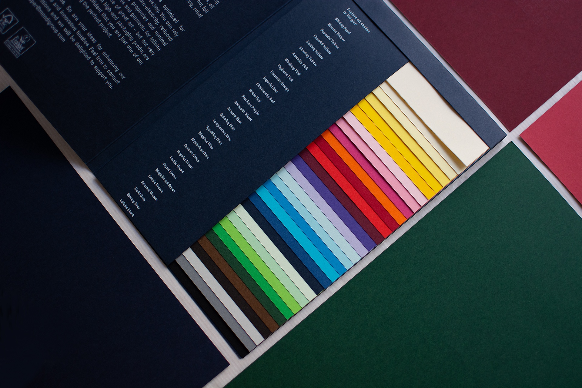 Pergrahica Pergraphica Tints