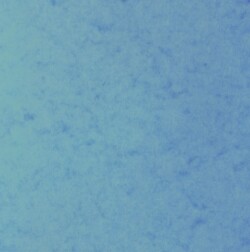 Thick Blue Card