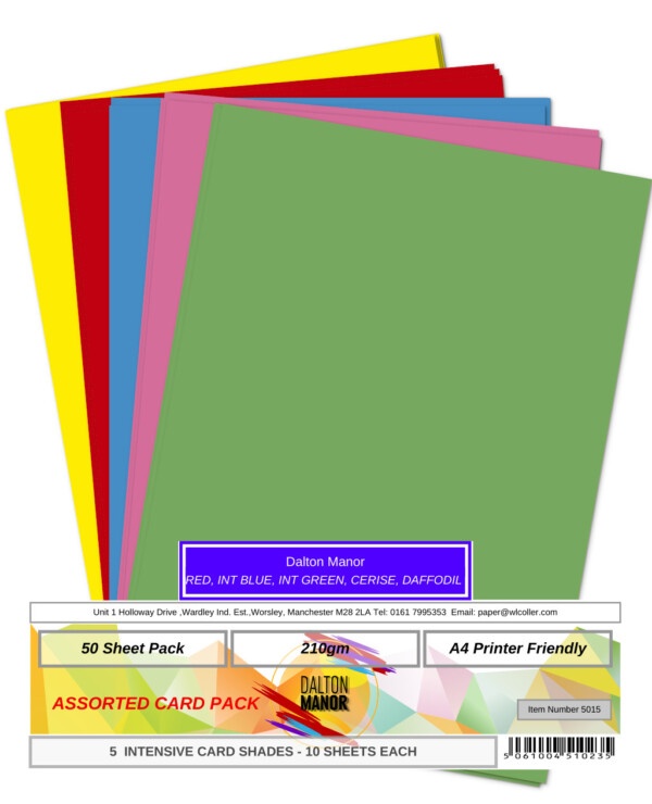 Dalton Manor A4 Bright Coloured Card PK50