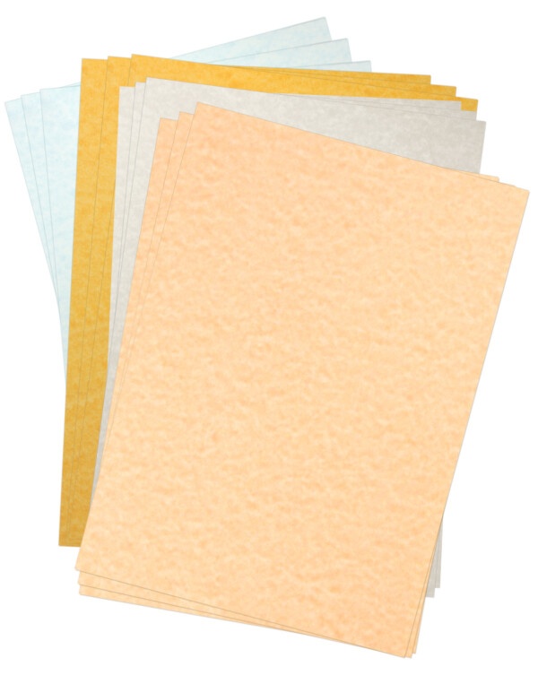 Dalton Manor Assorted Parchement Card