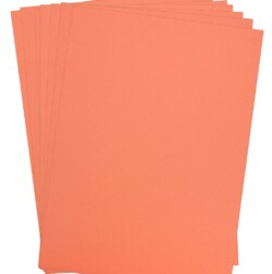 Vanguard Salmon Card