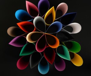 vanguard flower