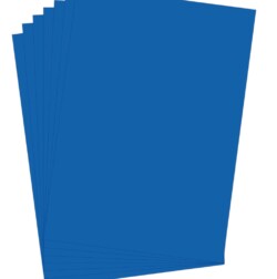 Blueberry-vangaurd2
