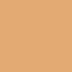 Trophee Orange Pastel