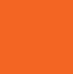 Vanguard Orange