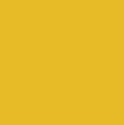 Trophee Sunflower