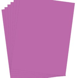 Vanguard Lilac