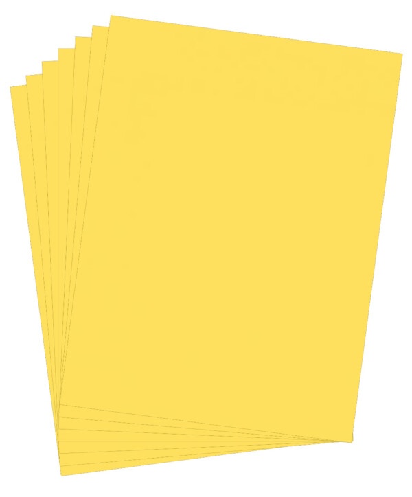 Daffodil Yellow