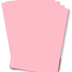 4482