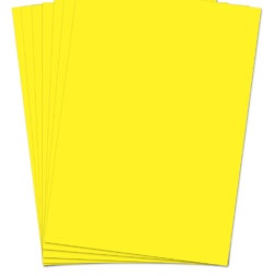 4492