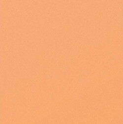 310G SRA3 Centura Pearl Pumpkin PK50